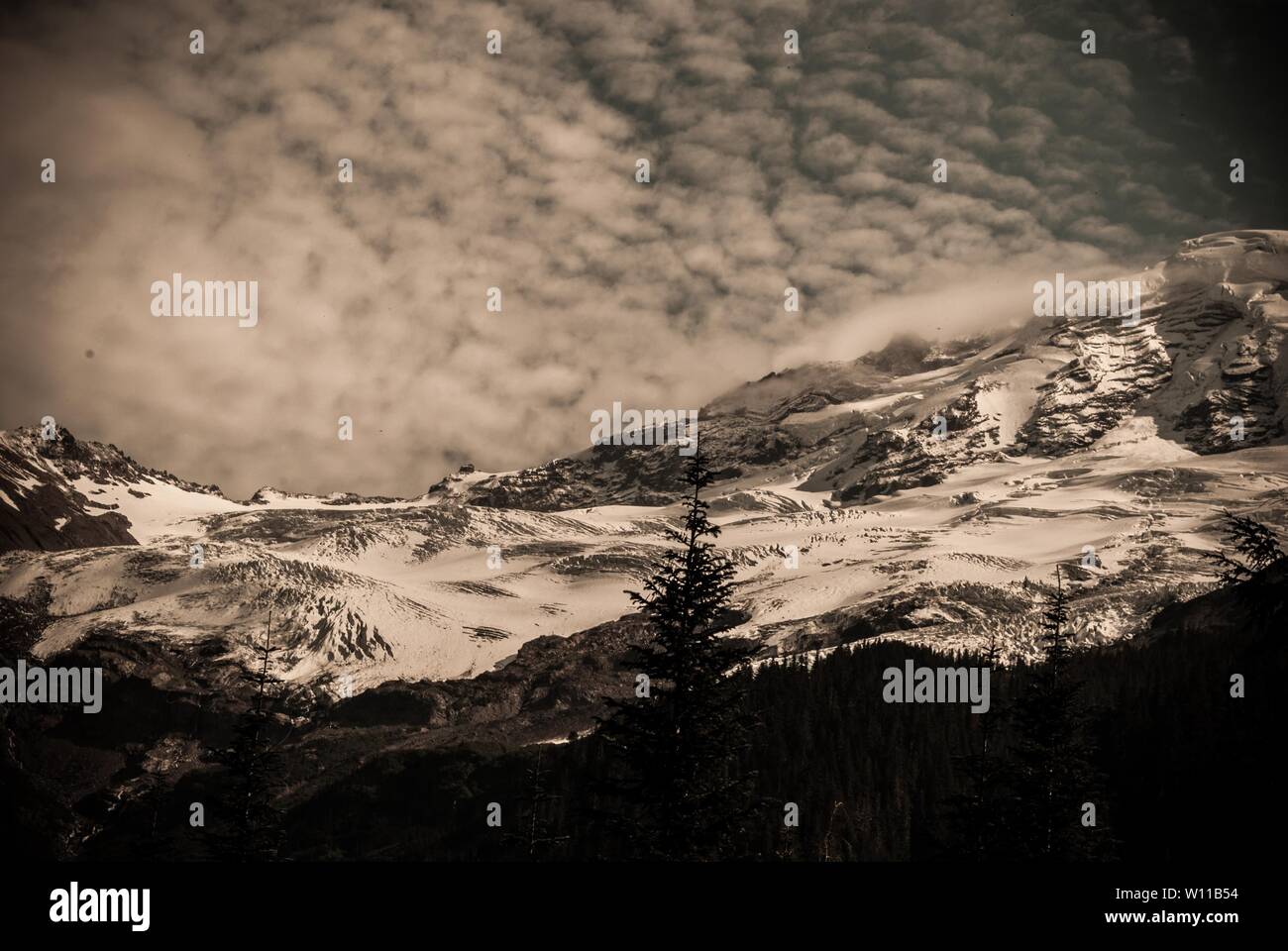 Beautiful dark shot of a snowy hill with a single pine tree and ...