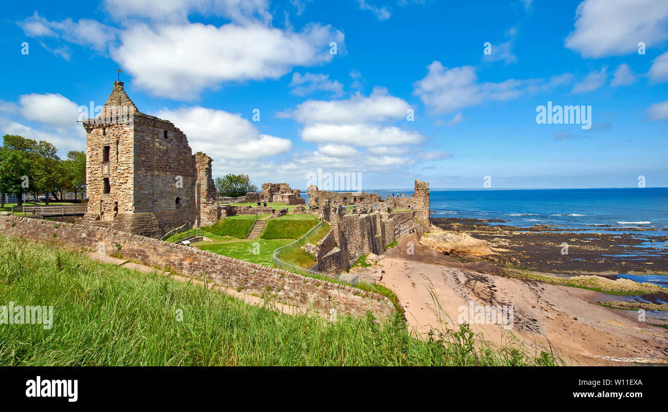 ST ANDREWS FIFE SCOTLAND THE CASTLE RUINS WITH PEOPLE INSIDE THE GROUNDS IN EARLY SUMMER Stock Photo