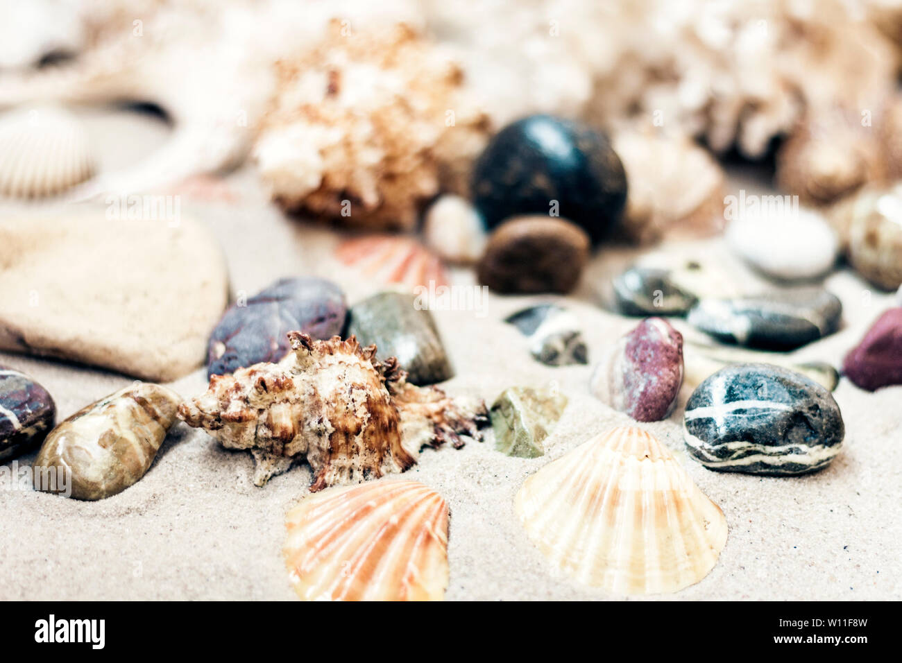 Seashells and stones on the sand, summer beach background travel ...