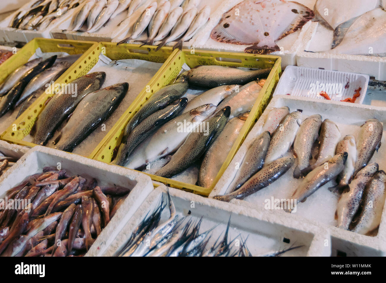 Fresh different fishes in a city market Stock Photo - Alamy