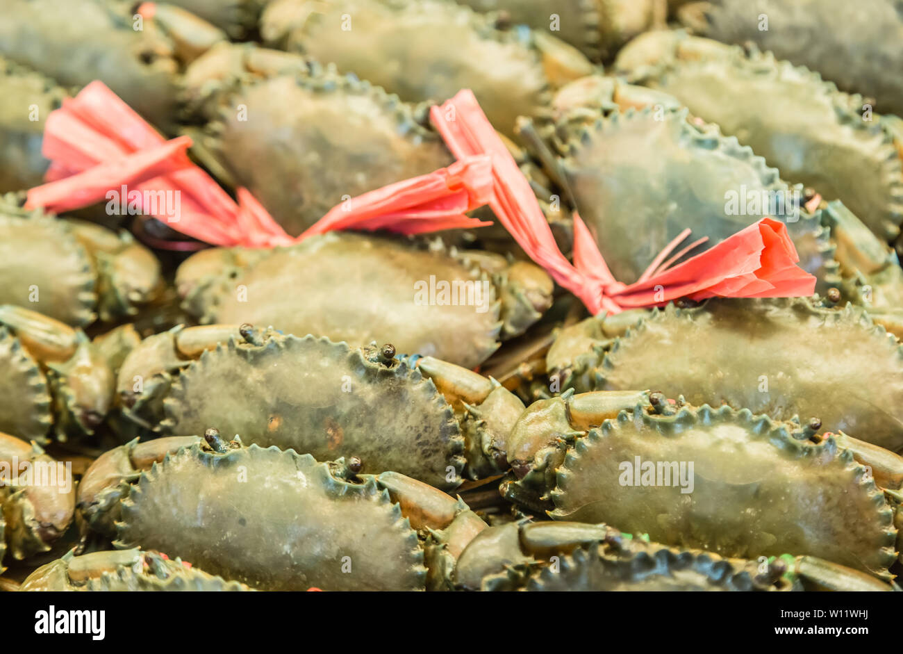 fresh crab on sale in seafood market Stock Photo - Alamy