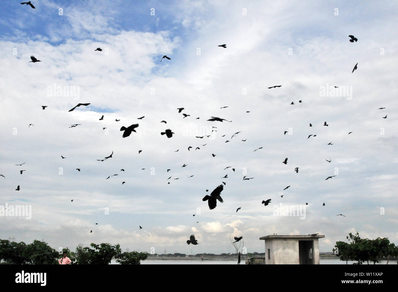 Wastage dump yard near road in Dhaka, Bangladesh Stock Photo Alamy
