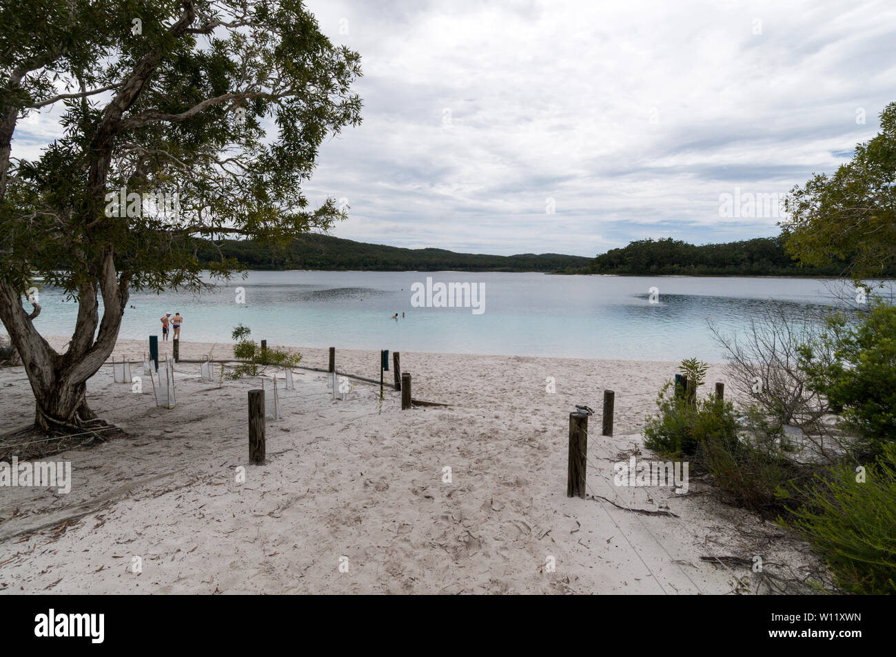 McKenzie Lake, a fresh water lake and one of the cleanest in the world on Fraser Island, Queensland, Australia  Fraser Island is a World Heritage site Stock Photo