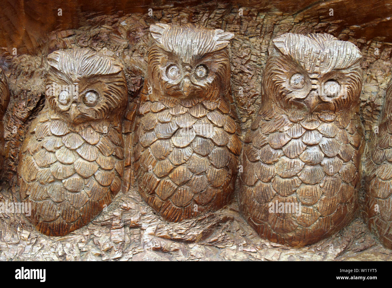 Row Of Owls Carving Stock Photo