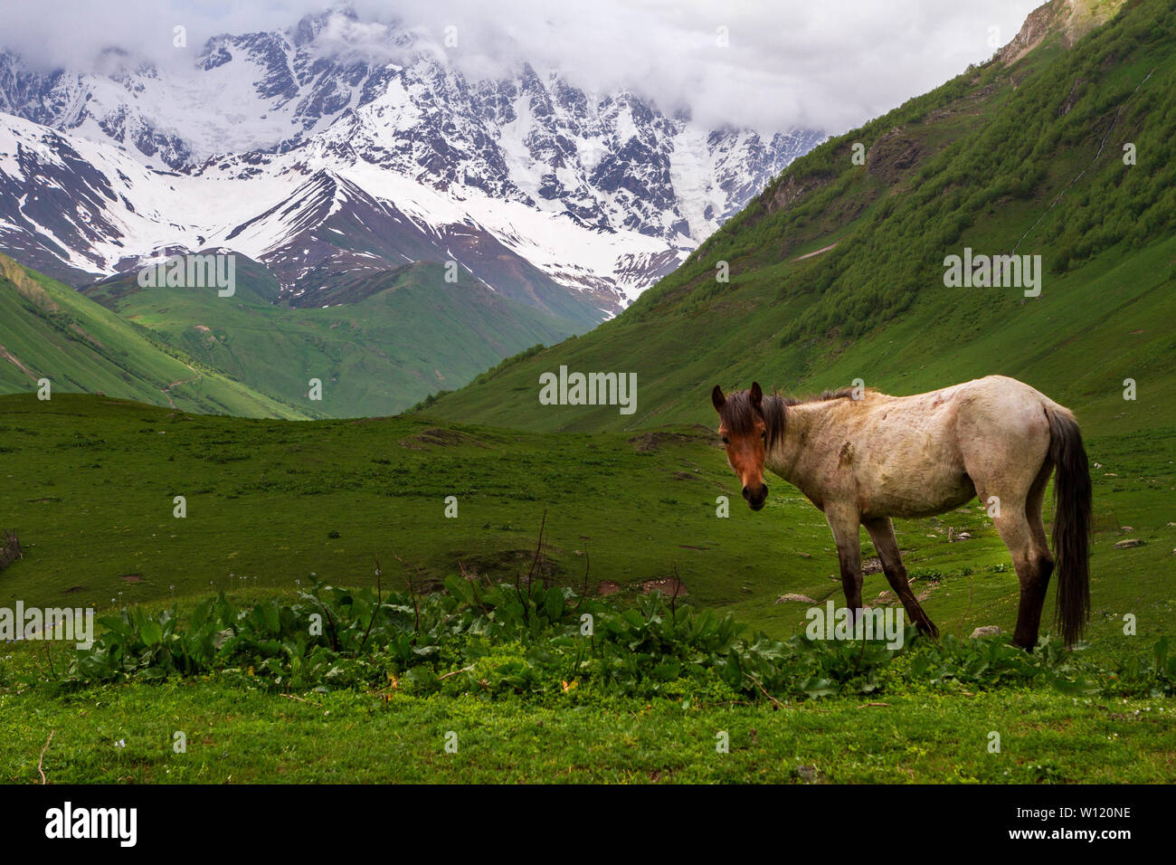 Georgia. Country of hospitality and raw nature Stock Photo - Alamy