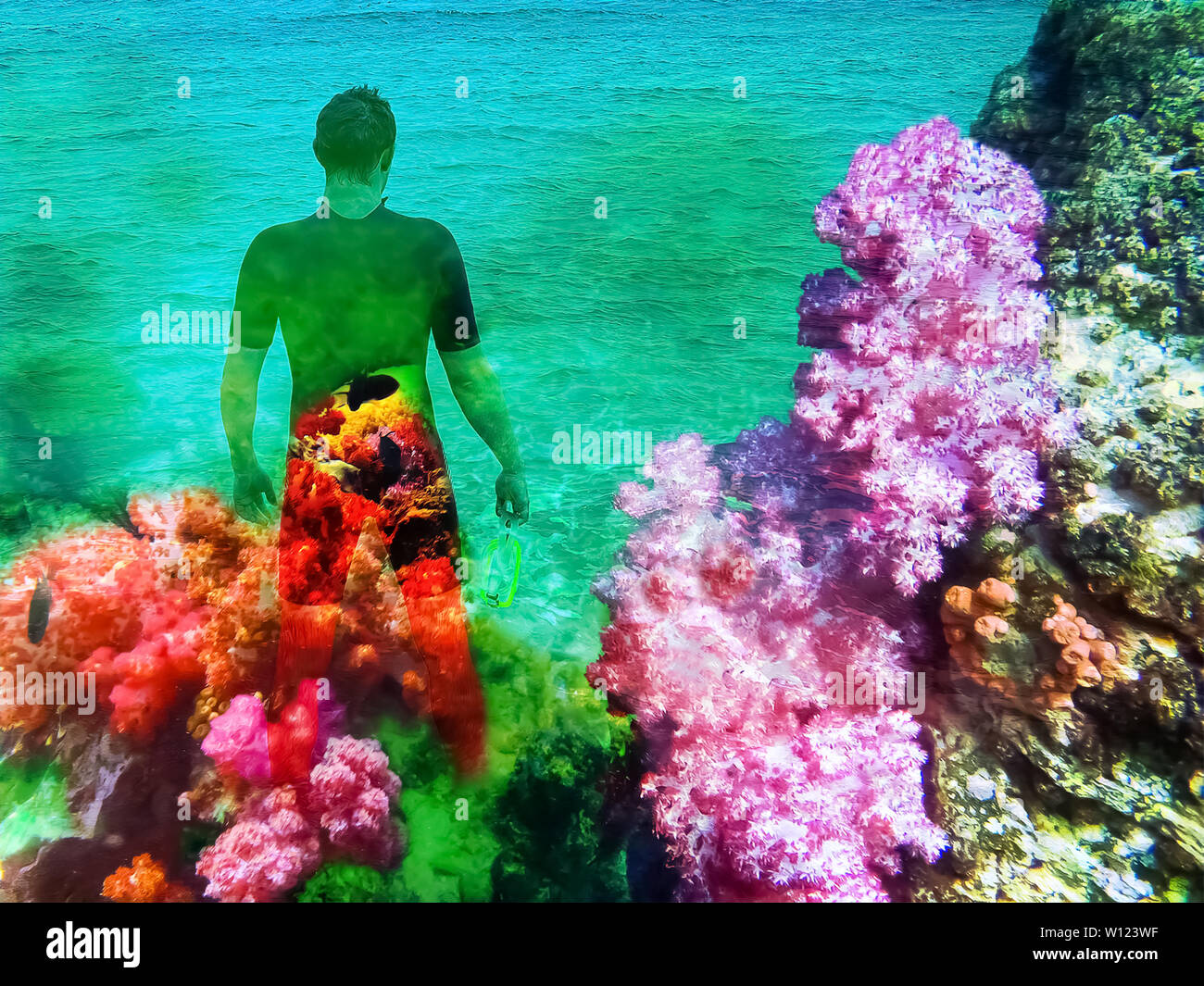 Man in diving suit hires stock photography and images Alamy