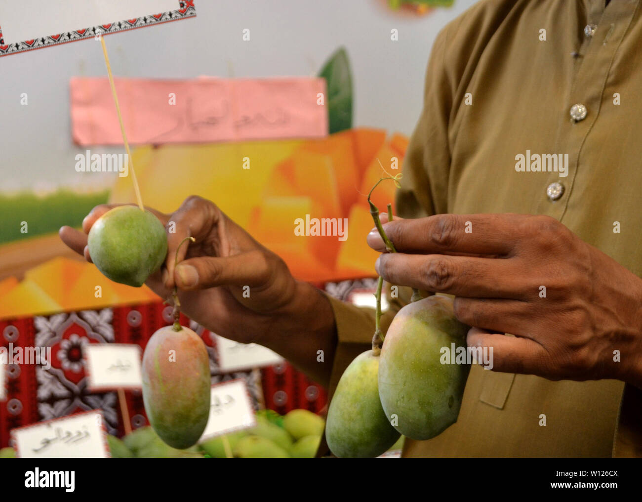 Breeds day hires stock photography and images Alamy