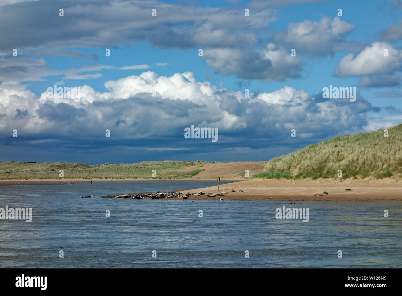 Newburgh seals beach, near Aberdeen, Scotland Stock Photo Alamy