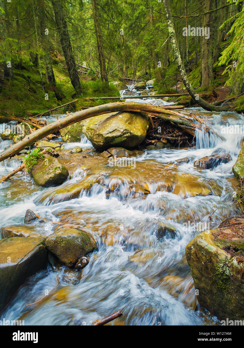 Great scenery view as river flowing through the mountain hills wild nature. Prut river in Carpathian Mountains, Hoverla Peak. Fast stream water with w Stock Photo