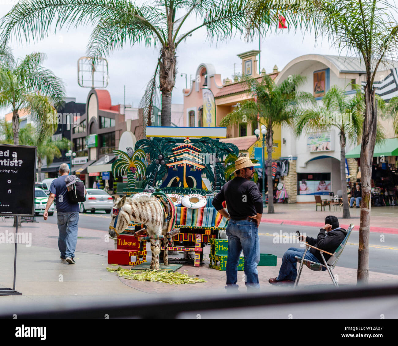 Zonkey in Tijuana streets Stock Photo