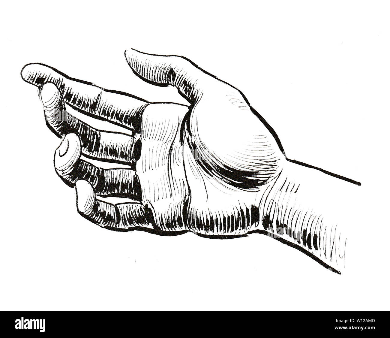 Human hand. Ink black and white drawing Stock Photo Alamy