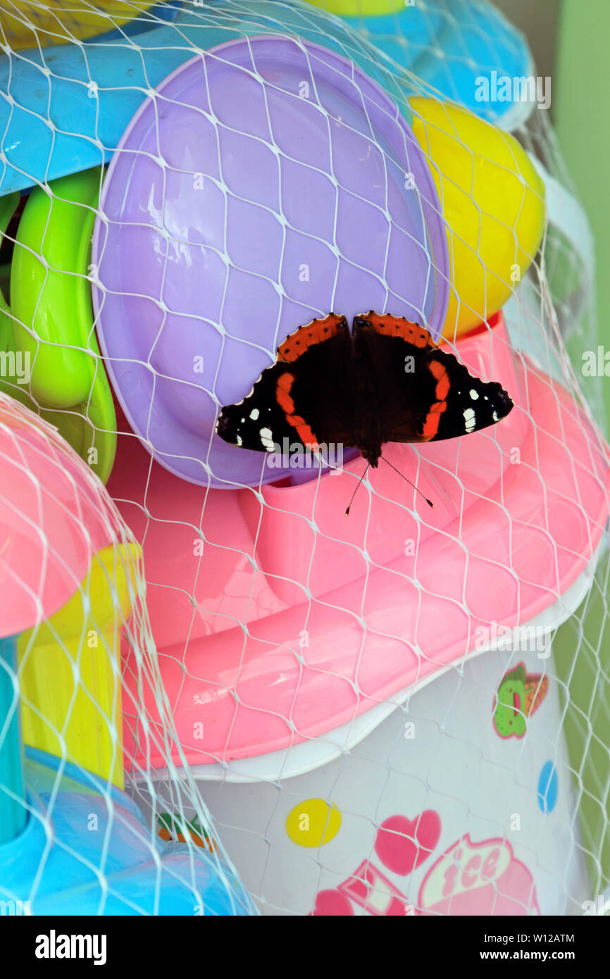 A Red Admiral butterfly mistaking a colorful collection of chidren's beach toys for flowers on the boardwalk in Wildwood, NJ, USA Stock Photo