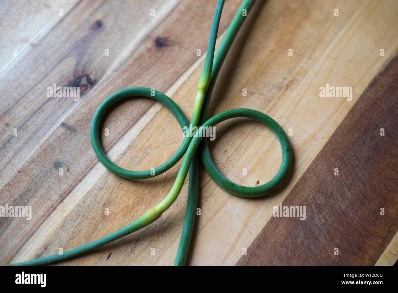 Garlic Scapes from Scottish Hardneck garlic. Stock Photo