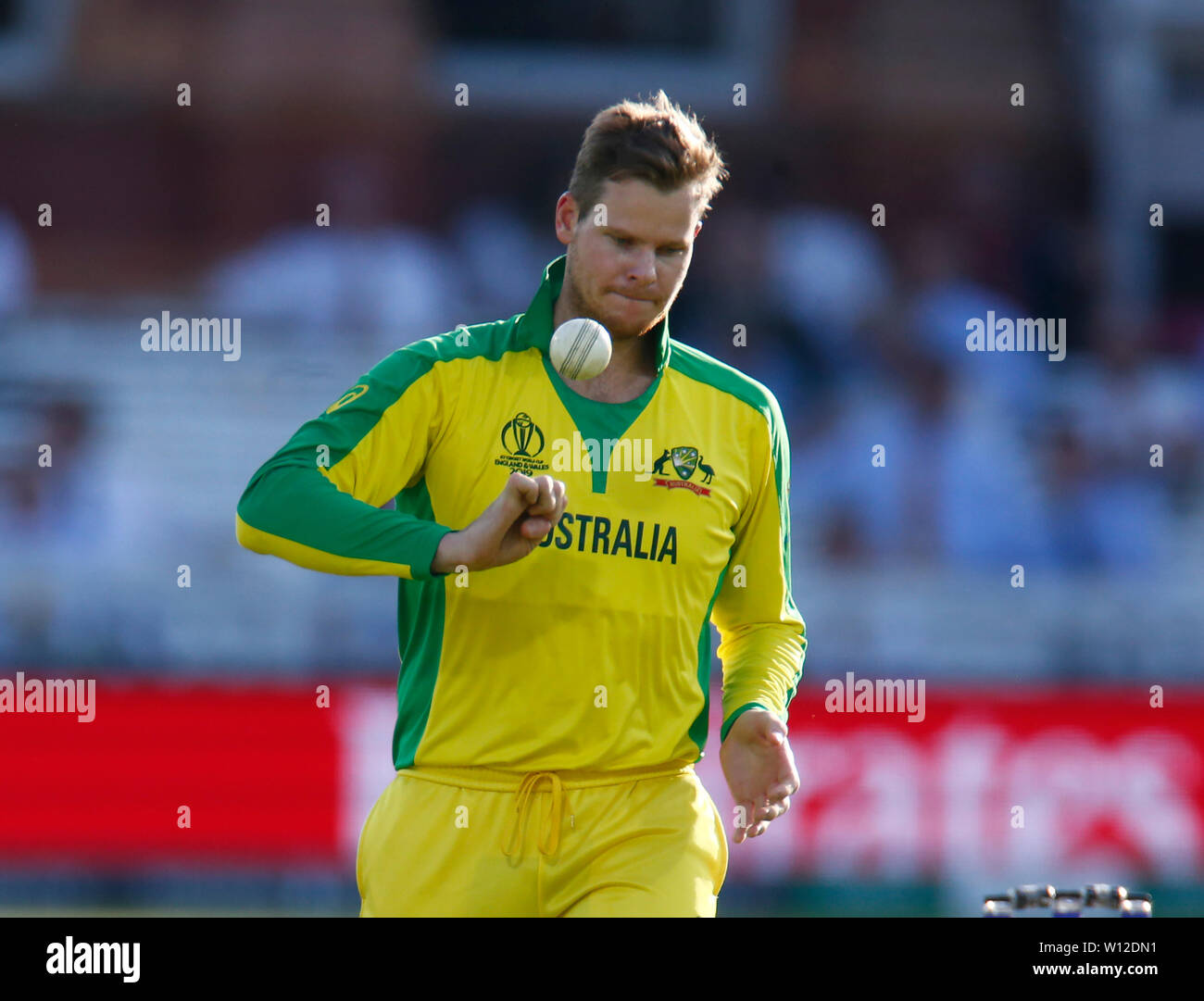 London, UK. 29th June, 2019. LONDON, England. June 29: during ICC Cricket World Cup between New Zealand and Australia at the Lord's Ground on 29 June 2019 in London, England. Credit: Action Foto Sport/Alamy Live News Stock Photo