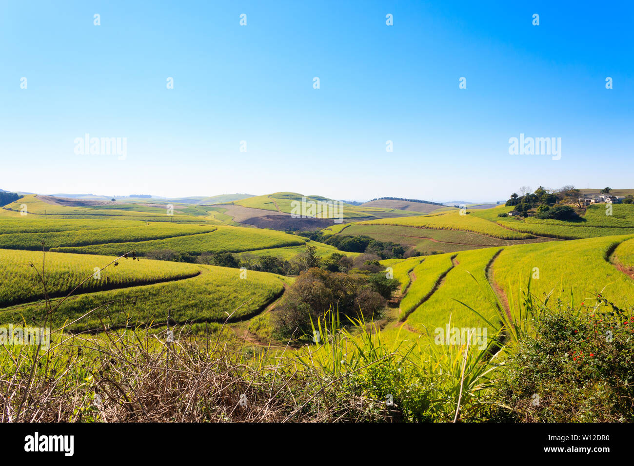 Valley of a Thousand hills landscape. Green hills panorama. South ...