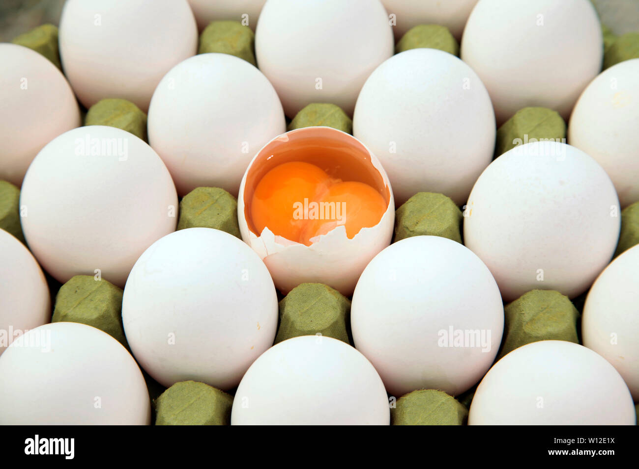 Download Double Yellow Egg In Carton Stock Photo Alamy PSD Mockup Templates