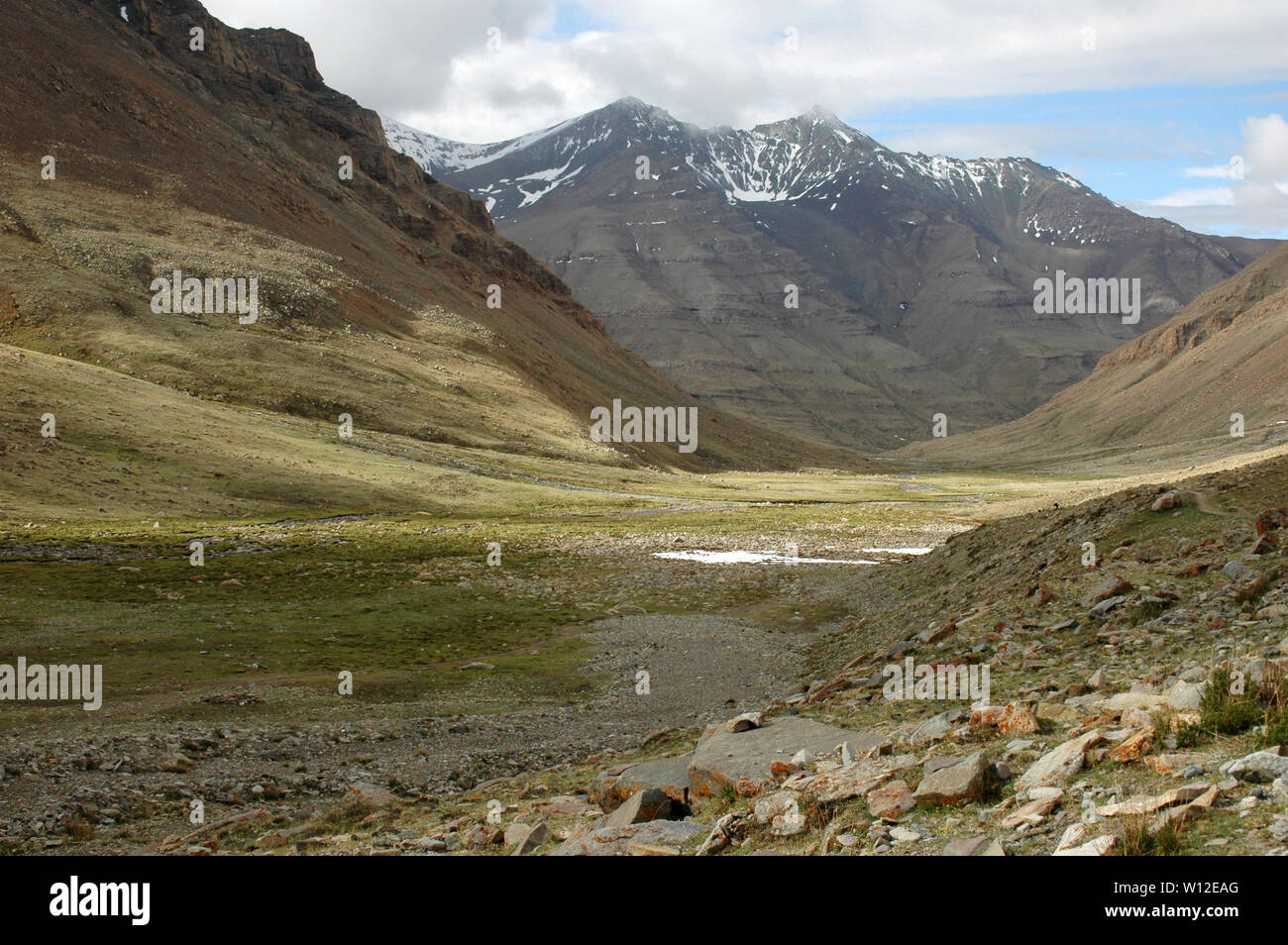 Green Valley Medicine Buddha on the background of snow-capped mountains peaks, Tibet China Stock Photo