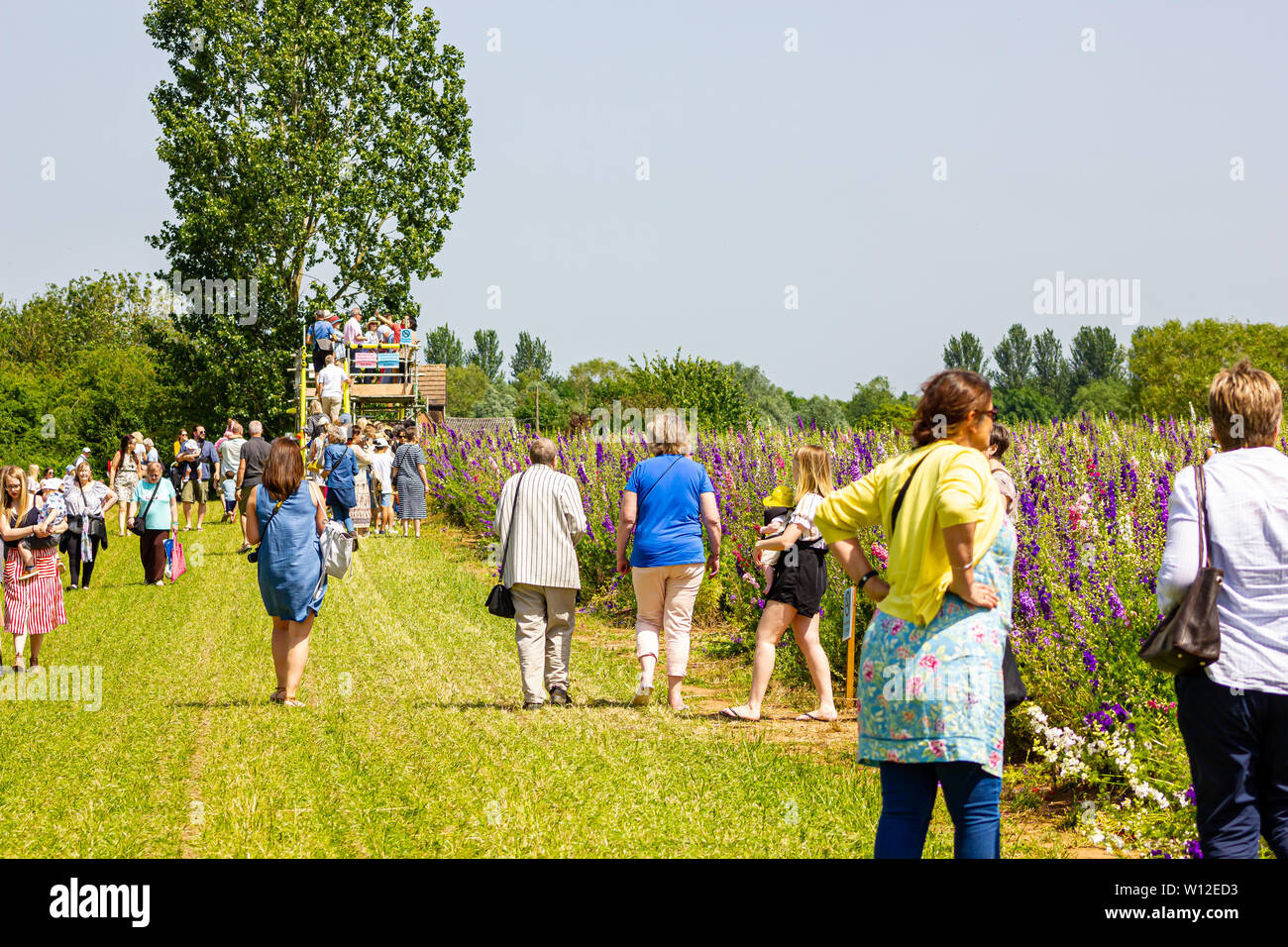 the confetti fields, wick, pershore Stock Photo Alamy