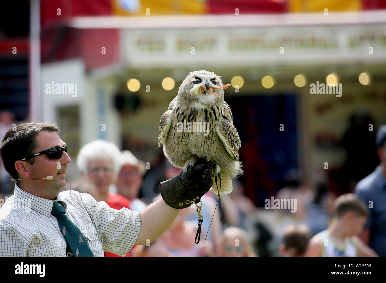 Todmorden, Yorkshire, UK. 29th June, 2019. Bird of prey display at Todmorden Game and Country Fair. Todmorden. Credit: Barbara Cook/Alamy Live News Stock Photo