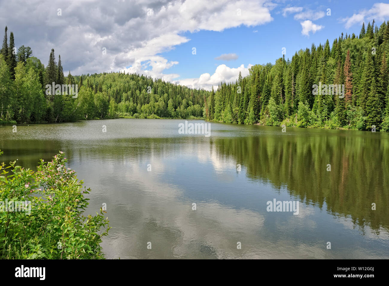 = Reflections on the Forest Lake at the Sanatorium 'Romantika' =  Beautiful view on the forest lake with reflections of clouds and tall pine trees at Stock Photo