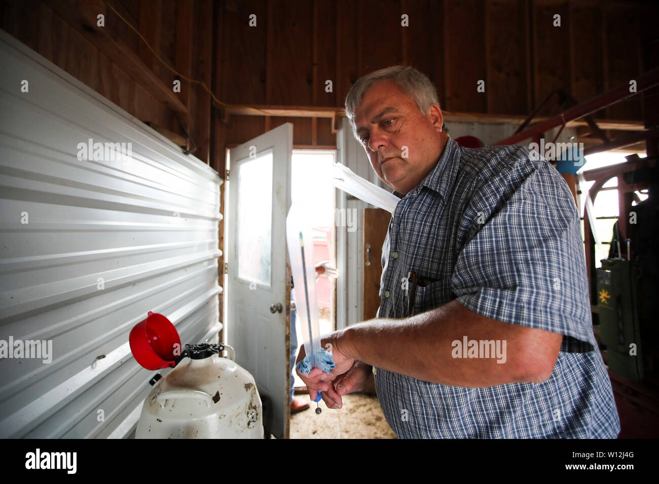 Atlantic, USA. 29th June, 2019. Bill Pellett's long-time business partner Phil Ham prepares a syringe for his son Cody Ham during artificial insemination procedures on Bill Pellett's farm in Atlantic, Iowa, the United States, on June 20, 2019. Bill Pellett, a fifth-generation farmer in Atlantic, a small city in the U.S. Midwestern state of Iowa, has found a cost-effective way to raise better calves each year without purchasing new bulls -- artificial insemination (AI). Credit: Wang Ying/Xinhua/Alamy Live News Stock Photo