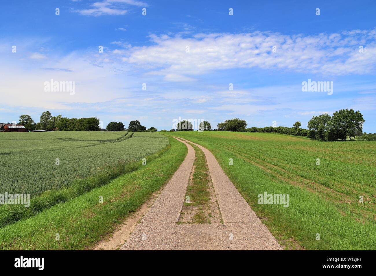 Beautiful View On Green Landscapes With Streets And Paths In Northern Germany On A Sunny Day Stock Photo Alamy