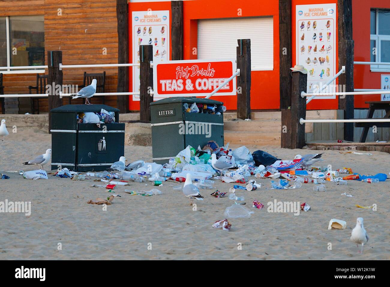 Camber, East Sussex, UK. 29 Jun, 2019. UK Weather: After the record breaking heatwave the seagulls scavenge through the heaps of litter left behind on the Camber Sands beach in East Sussex. ©Paul Lawrenson 2019, Photo Credit: Paul Lawrenson/Alamy Live News Stock Photo