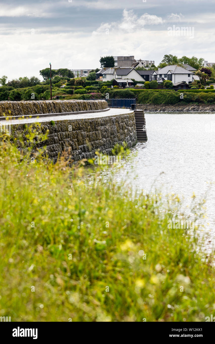 Beyond a grassy bank on a showery summer's day during a high tide the wet path along a harbour wall glistens brightly in the sunshine after a shower. Stock Photo