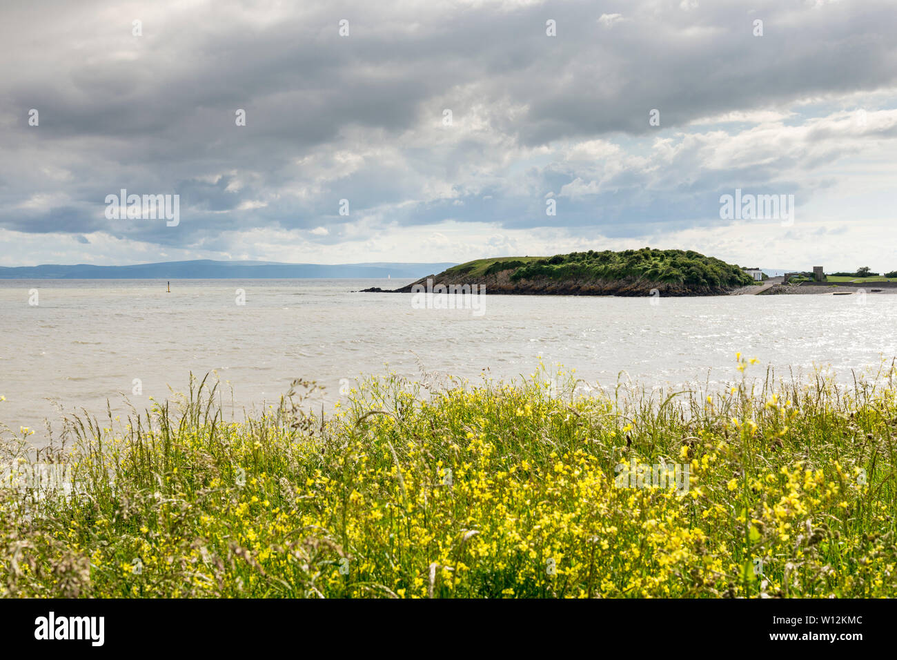 Sunshine brightens foreground yellow wild flowers and beyond them  Cold Knap Point, South Wales, jutting out into the Bristol Channel on a cloudy day. Stock Photo