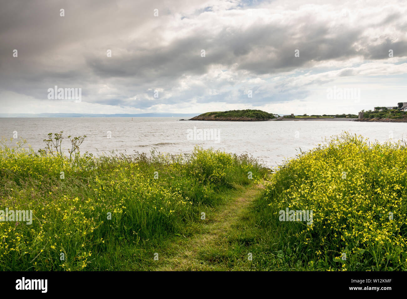 In the foreground a path goes through yellow wild flowers beyond which Cold Knap Point, South Wales, juts out into the Bristol Channel on a cloudy day Stock Photo