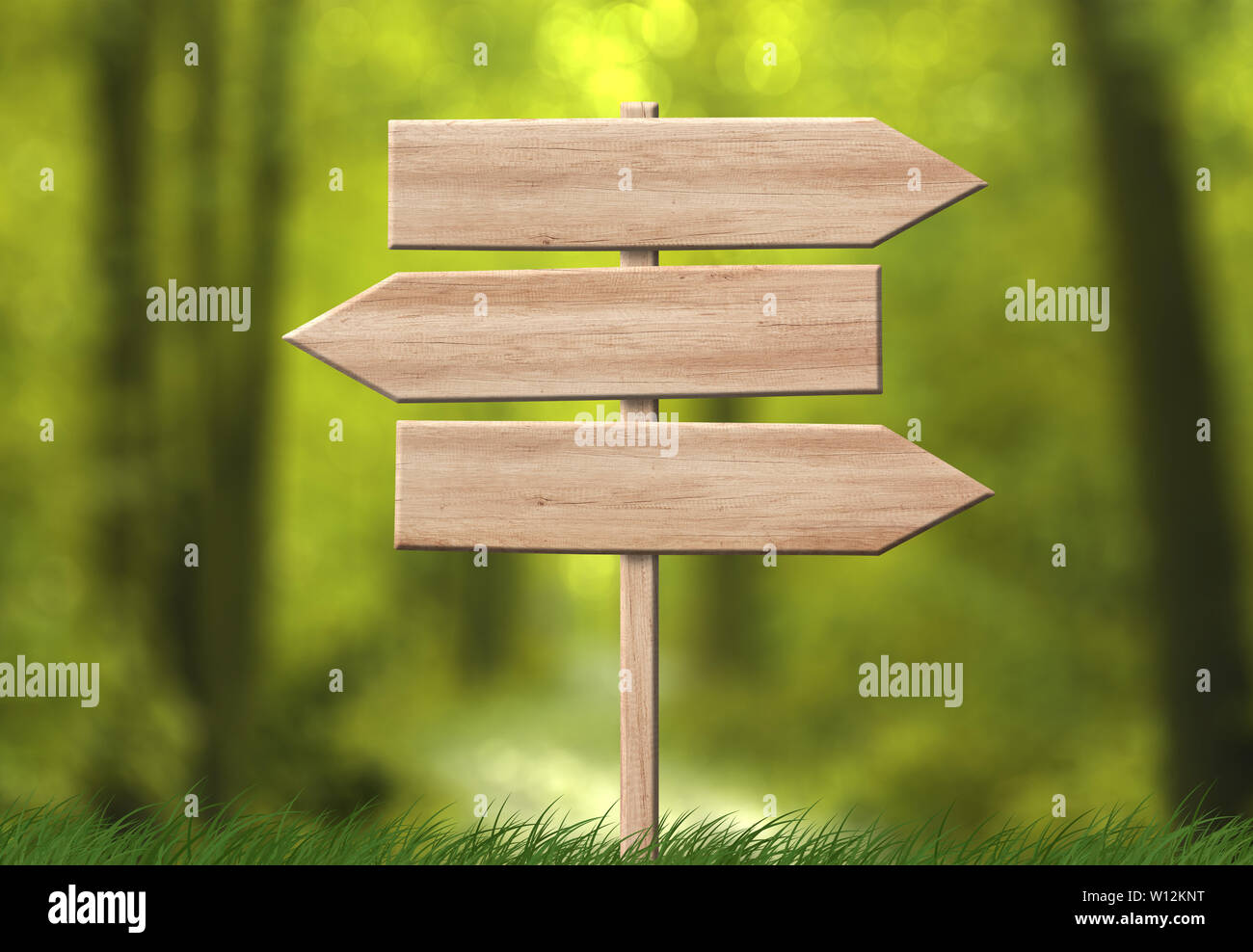 Empty wooden direction triple arrow roadsign and with forest background ...