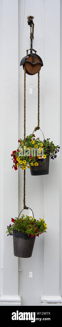 vertical ribbon border of yellow and red flowers hanging in pots from rope on a pulley in front of painted white wood trim Stock Photo