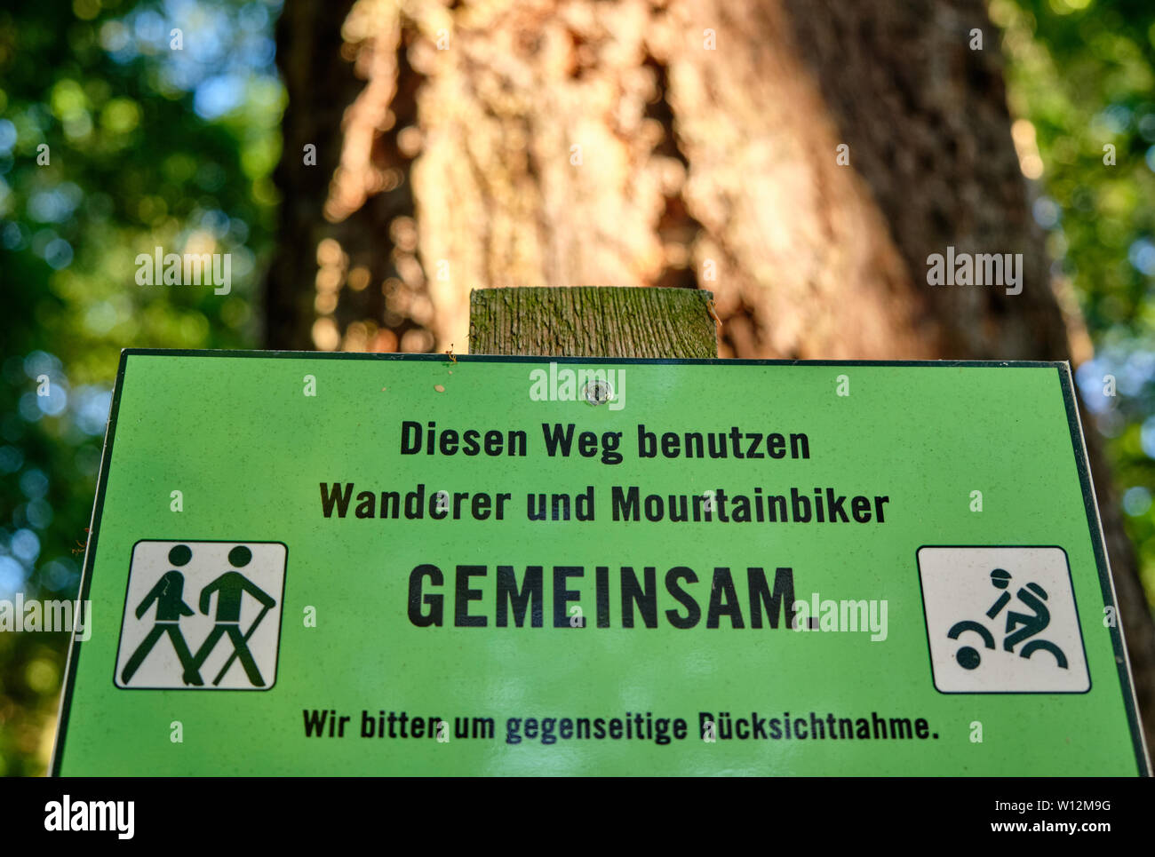 A sign at a path in the forest that says: Diesen Weg nutzen Wanderer und Mountainbiker gemeinsam. Wir bitten um gegenseitige Rücksichtnahme. Stock Photo