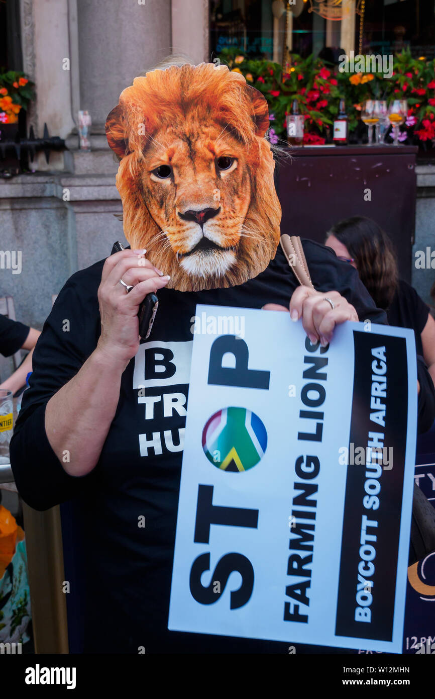 marshall tracking collar