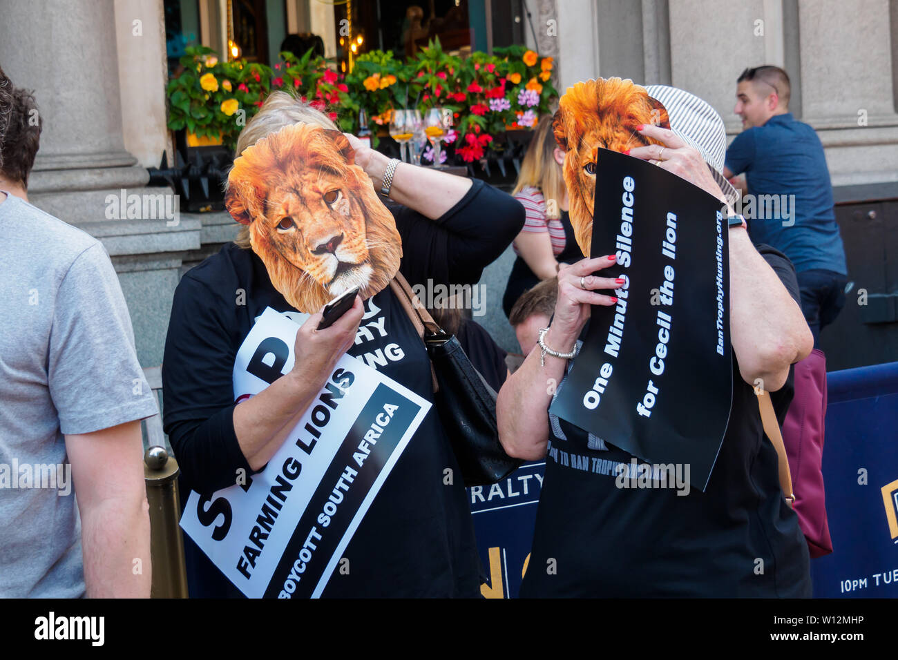 marshall tracking collar