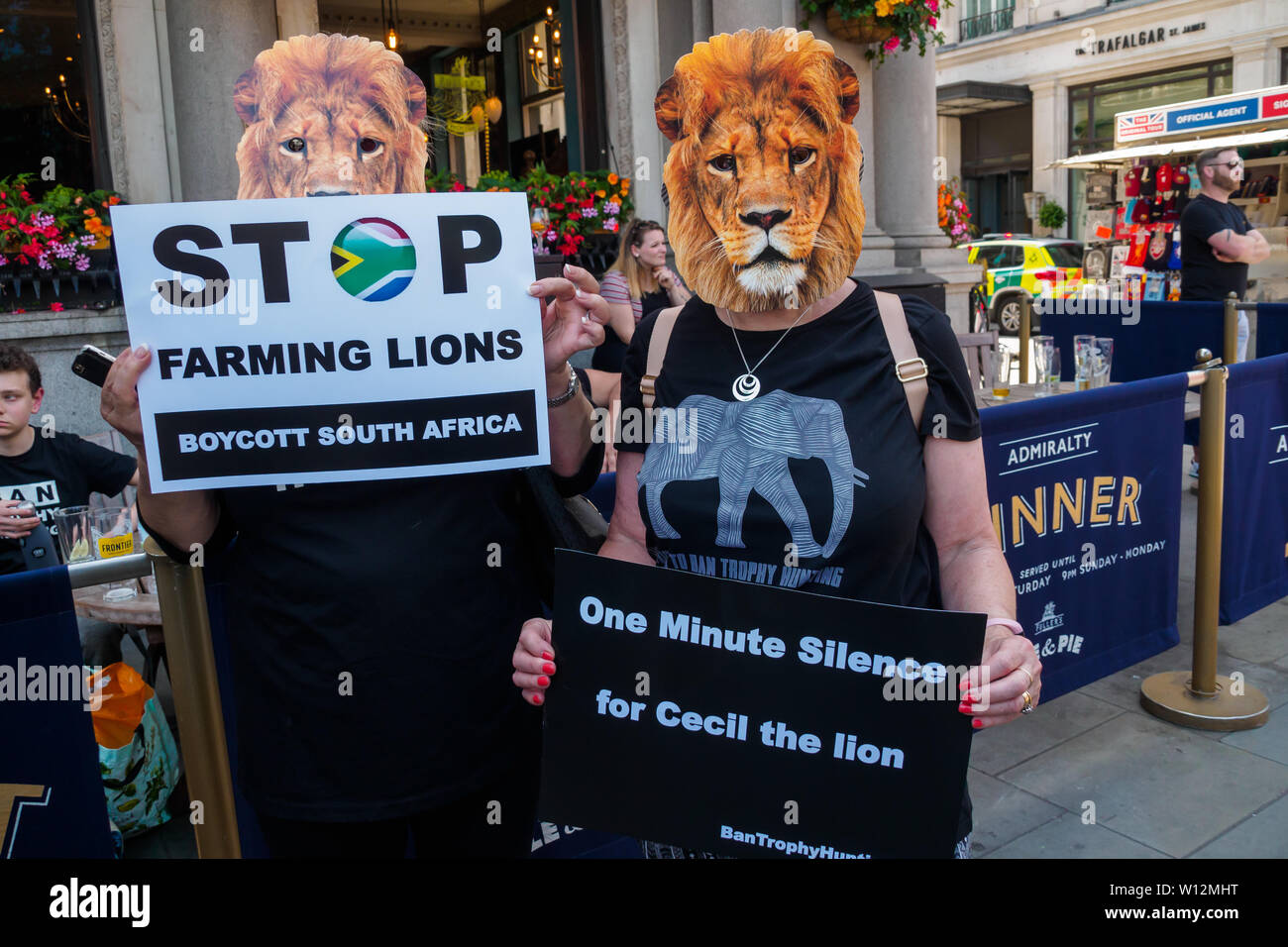 marshall tracking collar