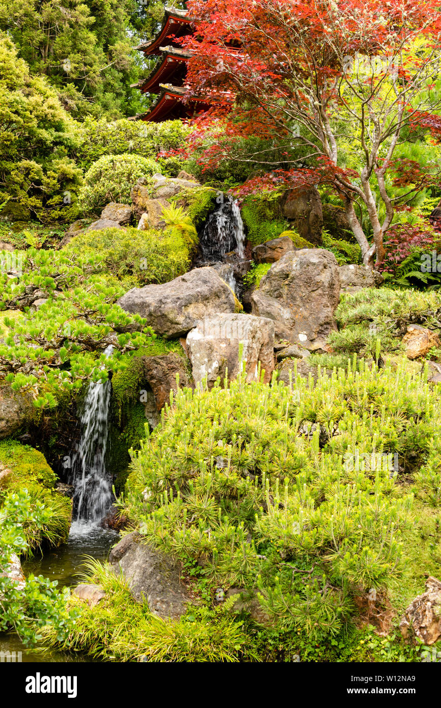 Golden Gate Park Japanese Tea Garden Babbling Brook Stock Photo Alamy