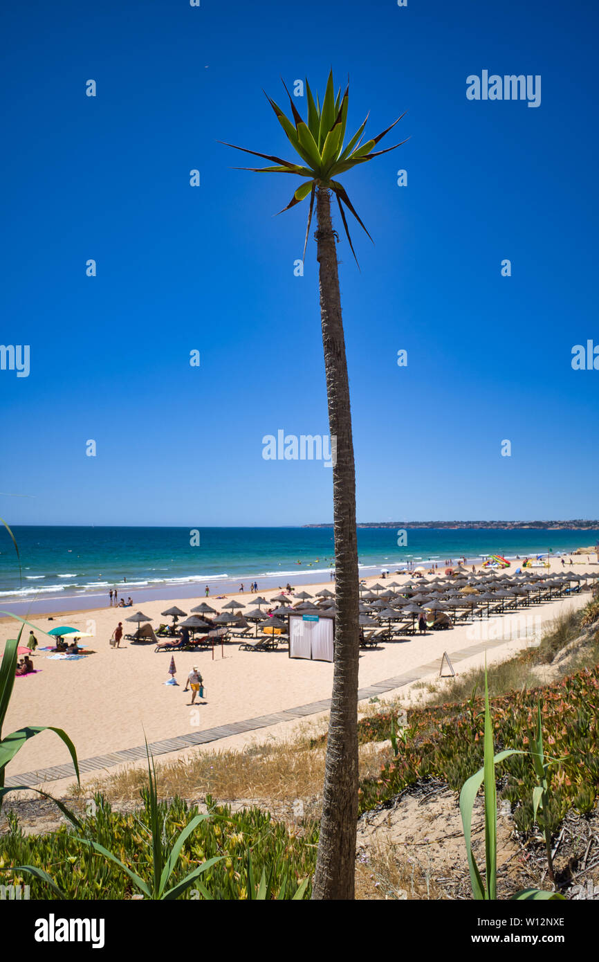 Top view on Praia da Galé,  Albufeira, Portugal Stock Photo