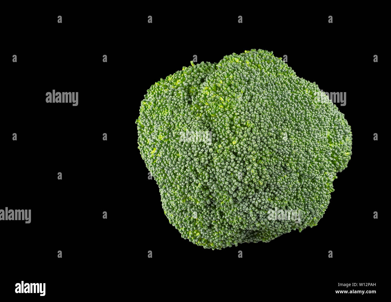Broccoli is an edible green plant in the cabbage family, Brassica