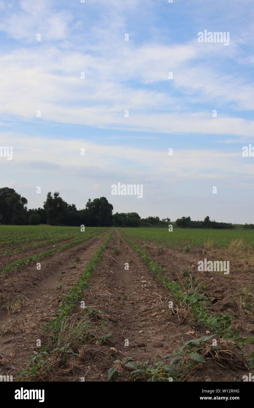 Blytheville arkansas hires stock photography and images Alamy