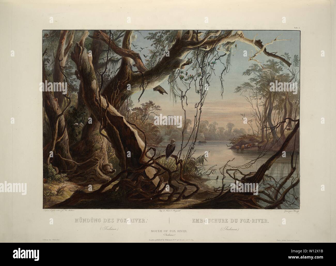 Mouth of the Fox River (Indiana) Karl Bodmer aquatint from Travels in