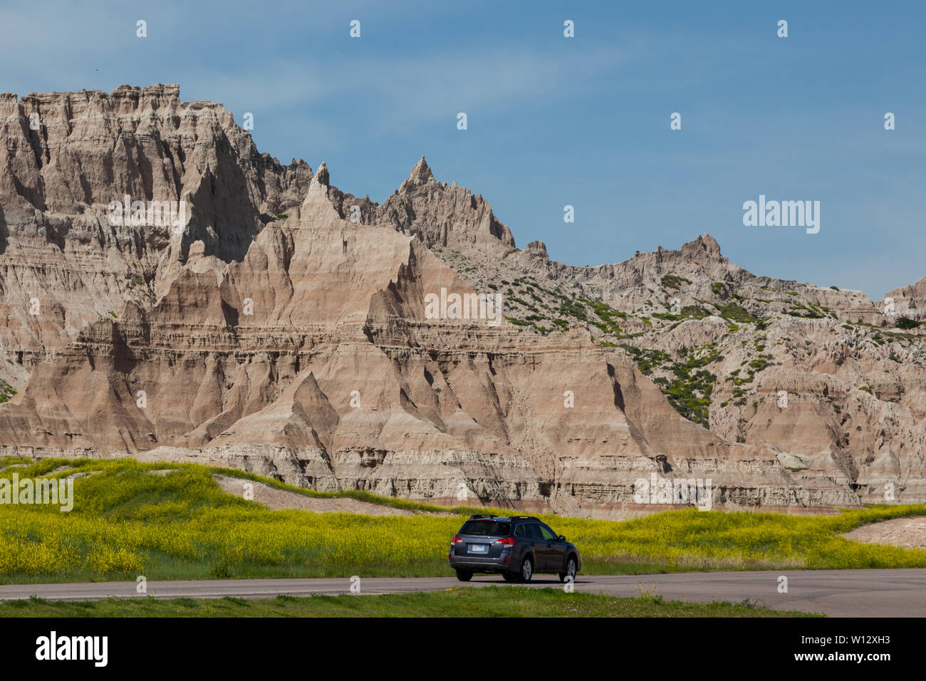 A vehicle drives next to the dynamically eroded mountain peaks of Badlands National Park with a super bloom of wildflowers at the base. Stock Photo