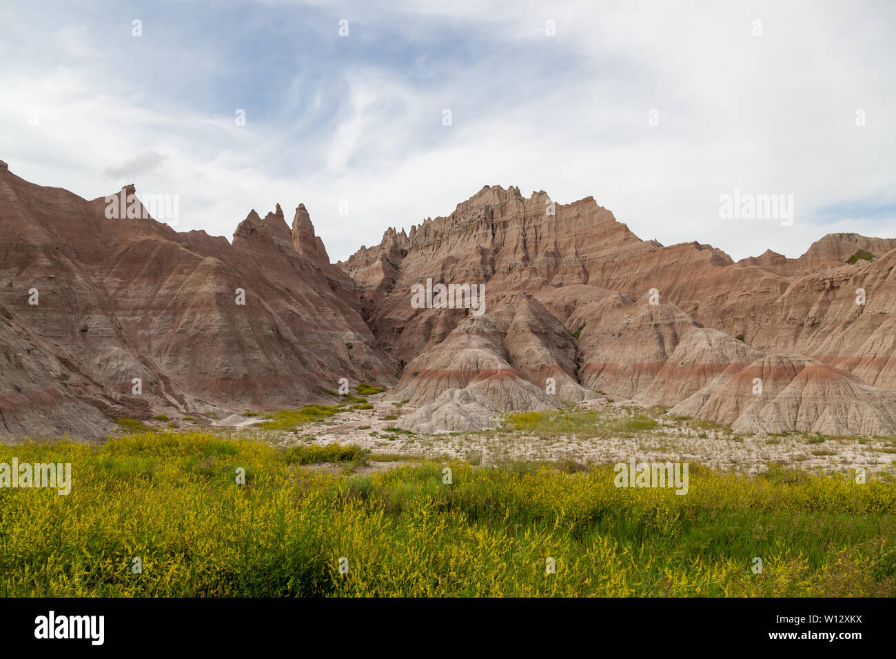 Dramatic mountain formations carved out by erosion showing layers of rocks with spring wildflowers below in Badlands National Park, South Dakota. Stock Photo