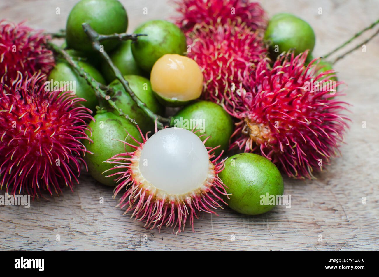 Fruits of Melicoccus bijugatus (green) and Nephelium lappaceum Stock ...