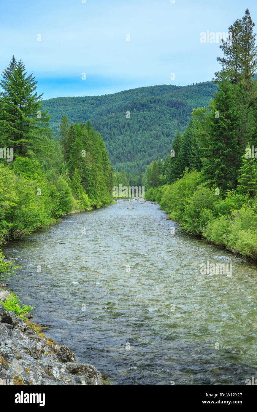 st. regis river near st. regis, montana Stock Photo Alamy