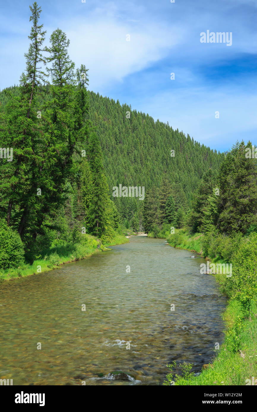 St. Regis River Near St. Regis, Montana Stock Photo - Alamy