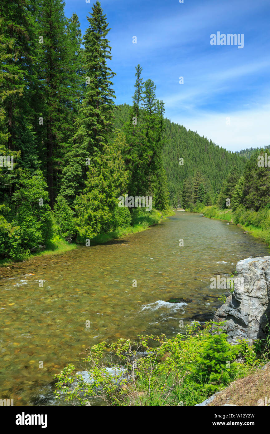 st. regis river near st. regis, montana Stock Photo Alamy