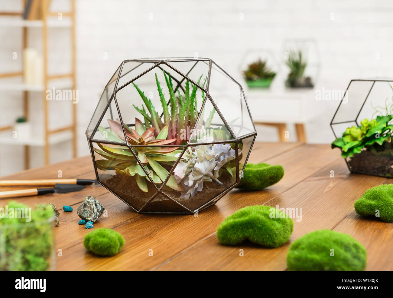 Glass geometric vases with indoor plants on wooden table. Stock Photo