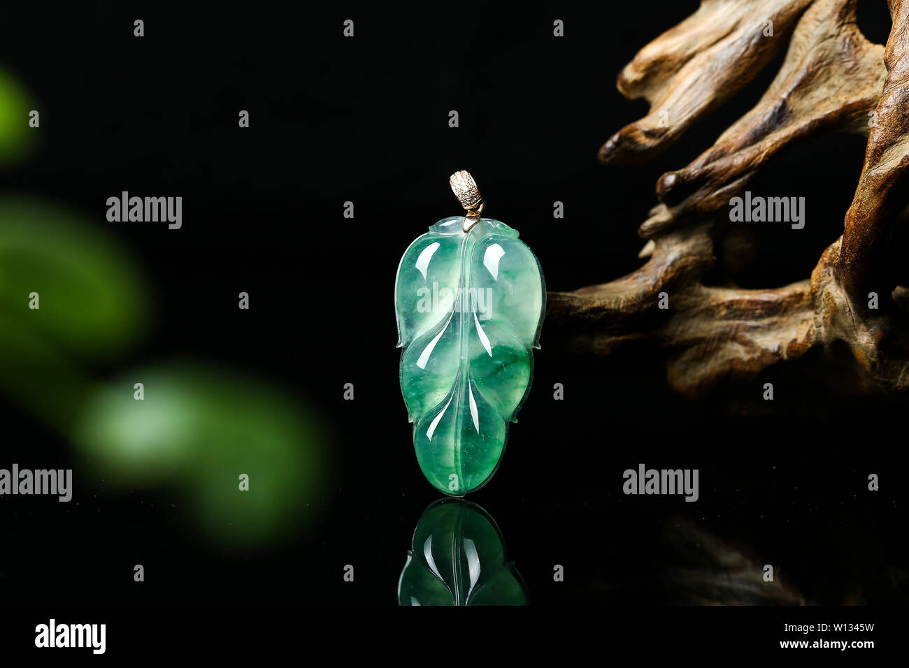 Fluorescent insects hi-res stock photography and images - Alamy