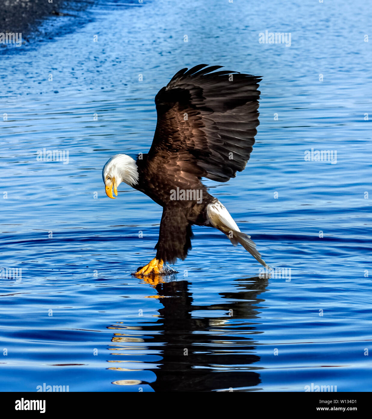 My Image 24
